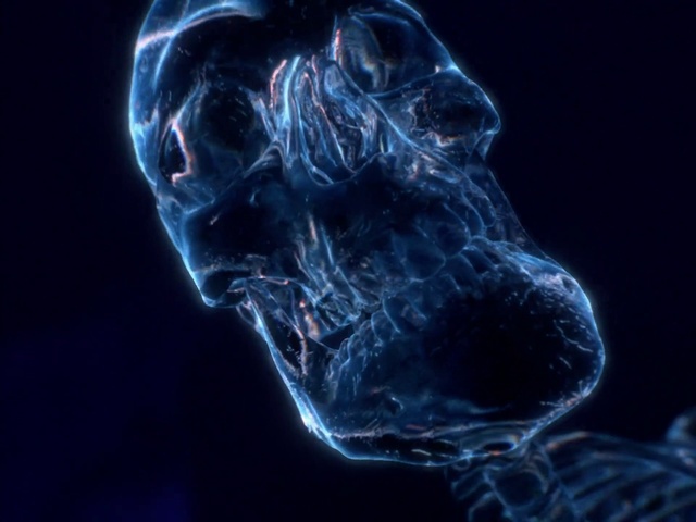 Video Reference: Azure, Organism, Water, Fluid, Liquid, Font, Art, Electric blue, Gas, Darkness