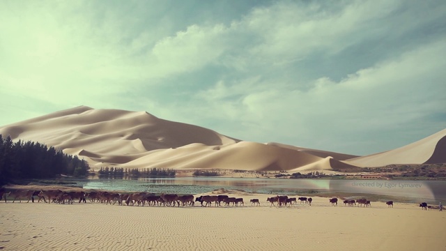 Video Reference: Cloud, Sky, Daytime, Mountain, Sunlight, Slope, Natural landscape, Biome, Horizon, Plain