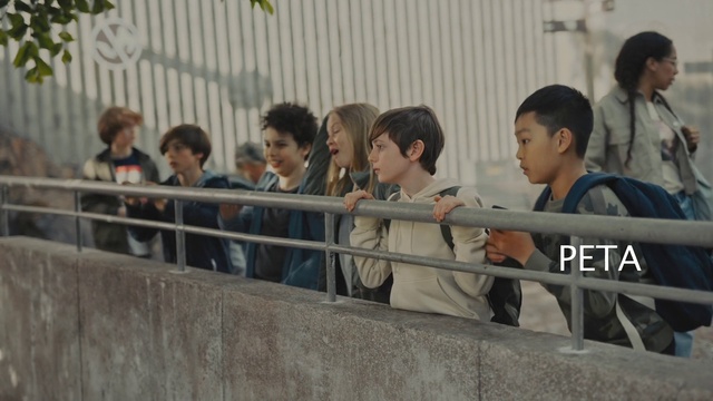 Video Reference: T-shirt, Jacket, Event, Crowd, Leisure, Recreation, Handrail, Team, Room, Metal