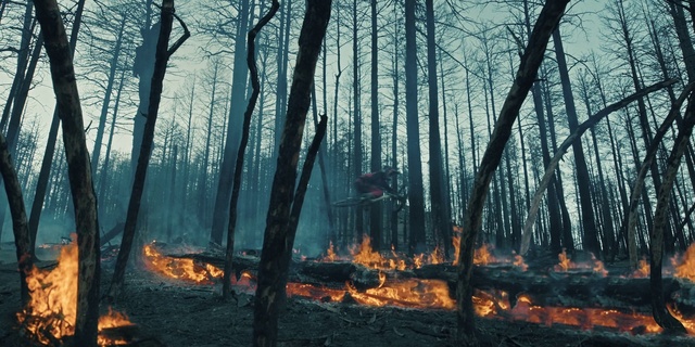 Video Reference: Plant, Atmosphere, Sky, People in nature, Natural landscape, Tree, Wood, Twig, Trunk, Biome