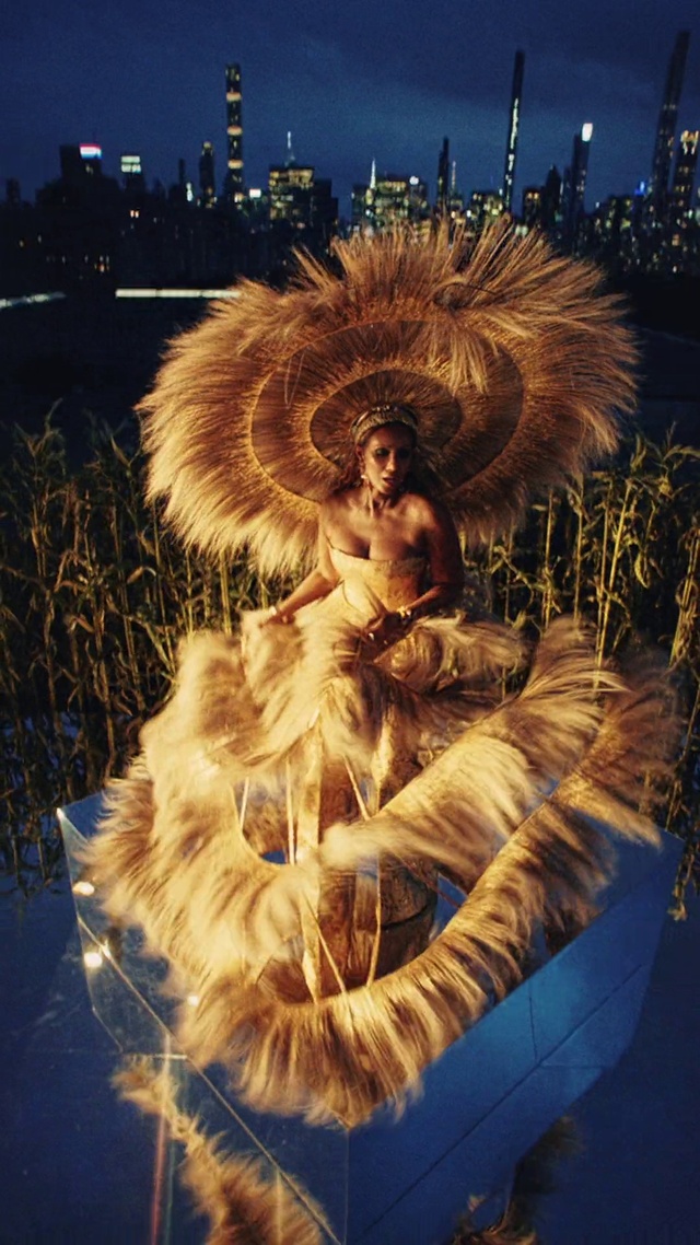 Video Reference: Photograph, Plant, People in nature, Light, Flash photography, Lighting, Dress, Sky, Musical instrument, Art