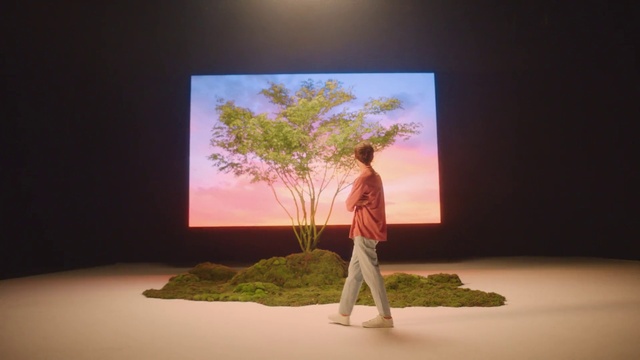 Video Reference: Plant, World, Nature, Tree, Sky, Grass, Natural landscape, Woody plant, Landscape, Art