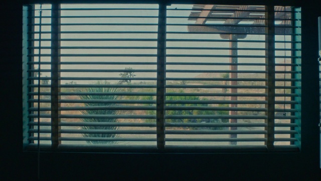 Video Reference: Window blind, Window, Building, Plant, Fixture, Shade, Rectangle, Wood, Textile, Interior design