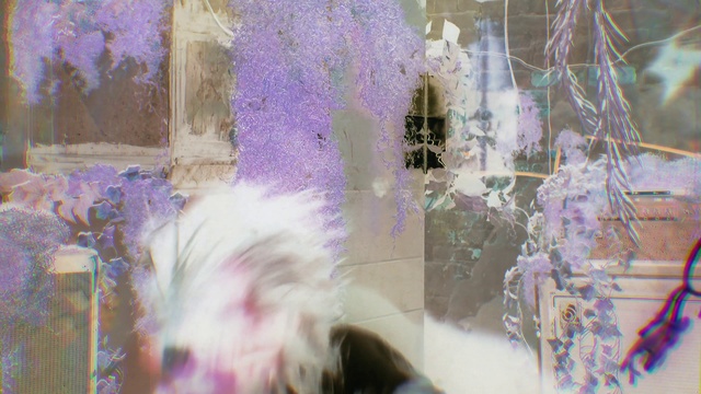 Video Reference: Purple, Textile, Organism, Violet, Window, Pink, Wall, Art, Fountain, Feather