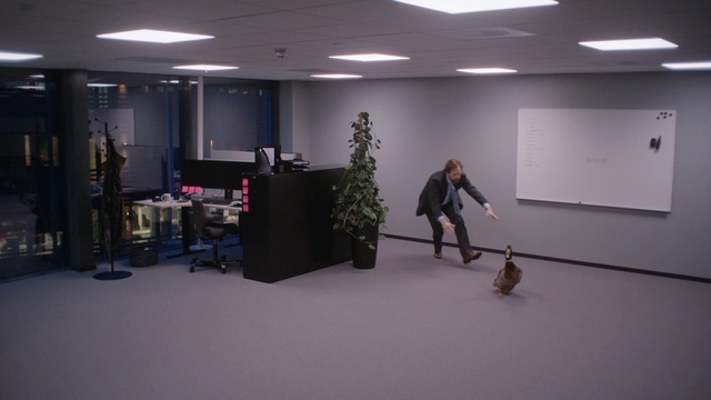 Video Reference: Houseplant, Flowerpot, Standing, Interior design, Plant, Floor, Flooring, Dog, Carnivore, Table