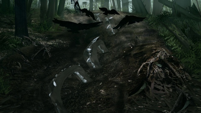 Video Reference: Plant, Wood, Terrestrial plant, Biome, Tree, Trunk, Forest, Landscape, Natural landscape, Darkness