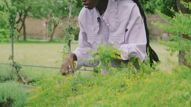 Video Reference: Plant, Smile, Dress, People in nature, Happy, Grass, Hat, Farmer, Adaptation, Grassland