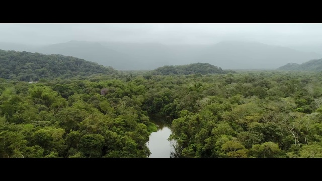 Video Reference: Sky, Cloud, Mountain, Terrestrial plant, Vegetation, Natural landscape, Tree, Terrain, Forest, Landscape