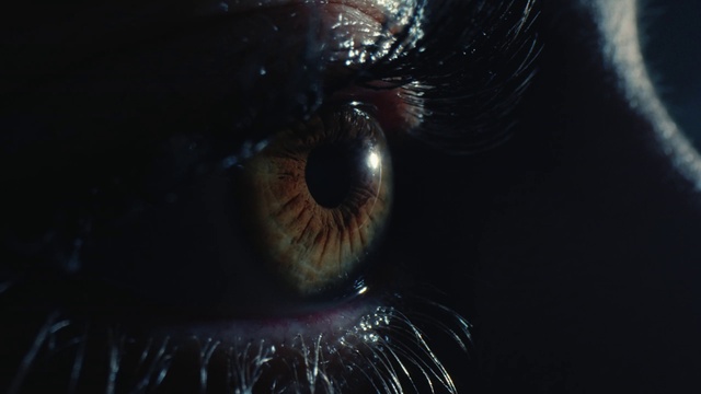 Video Reference: Eyelash, Human body, Iris, Electric blue, Darkness, Macro photography, Circle, Cameras & optics, Whiskers, Lens