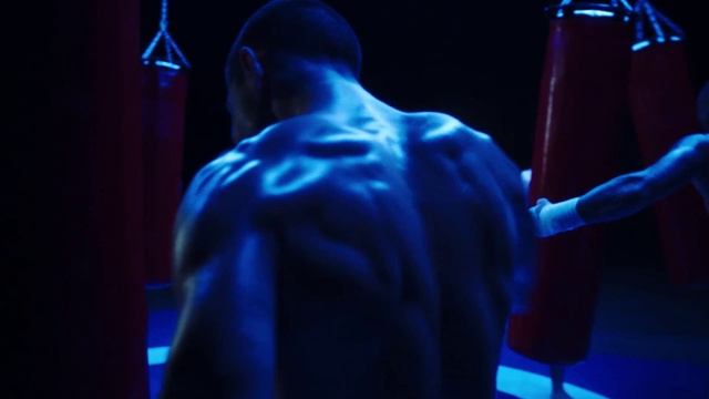 Video Reference: Blue, Purple, Entertainment, Performing arts, Music, Visual effect lighting, Artist, Music artist, Electric blue, Magenta