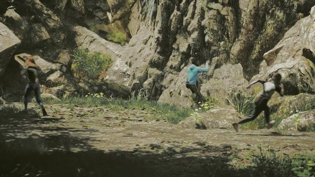 Video Reference: Plant, Bedrock, Outdoor recreation, Slope, Recreation, Formation, Tree, Grass, Landscape, Wood