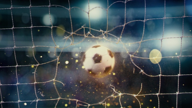 Video Reference: Atmosphere, Vertebrate, Sky, World, Mammal, Organism, Mesh, Atmospheric phenomenon, Astronomical object, Space