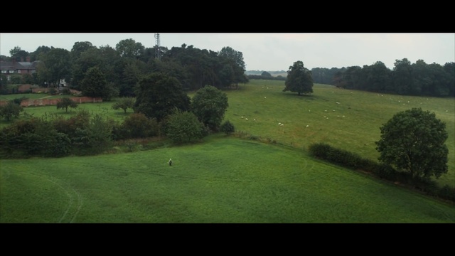 Video Reference: Plant, Sky, Ecoregion, Tree, Natural environment, Natural landscape, Land lot, Highland, Slope, Grassland