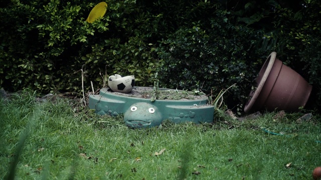 Video Reference: Plant, Natural environment, Grass, Gas, Grass family, Groundcover, Lawn, Motor vehicle, Shrub, Soil