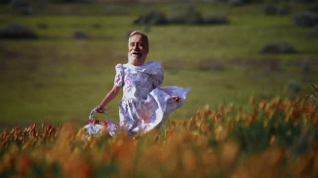 Video Reference: Plant, Flash photography, Natural landscape, People in nature, Happy, Grass, Grassland, Meadow, Landscape, Leisure