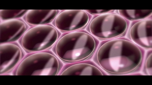 Video Reference: Liquid, Purple, Violet, Terrestrial plant, Circle, Natural material, Magenta, Pattern, Gas, Font