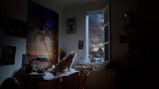 Video Reference: Picture frame, Furniture, Table, Building, Window, Wood, Interior design, Grey, Floor, Flooring