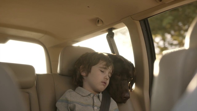 Video Reference: Car, Vehicle, Window, Mode of transport, Head restraint, Tints and shades, Comfort, Automotive design, Car seat, Tree