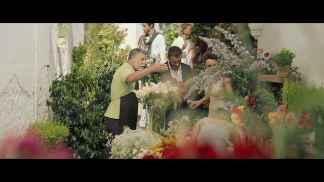Video Reference: Plant, Dress, Petal, Flash photography, Happy, Gesture, Flower, Bridal clothing, Grass, Flower Arranging