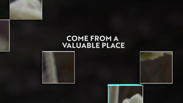 Video Reference: Rectangle, Font, Wood, Space, Darkness, Circle, Brand, Grass, Graphics, Logo