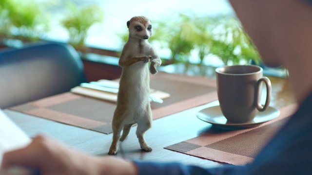 Video Reference: Tableware, Dishware, Drinkware, Toy, Coffee cup, Wood, Fawn, Table, Carnivore, Morning