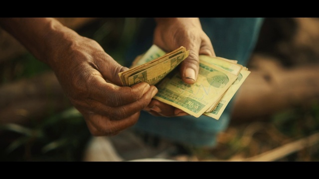 Video Reference: Hand, Banknote, Money handling, Gesture, Finger, Currency, Money, Dollar, Cash, Tree