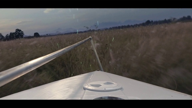 Video Reference: Cloud, Sky, Ecoregion, Table, Natural environment, Tree, Grass, Plant, Landscape, Horizon