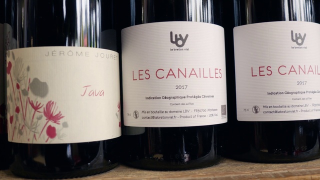 Video Reference: Bottle, Drinkware, Wine, Glass bottle, Liquid, Dessert wine, Drink, Alcoholic beverage, Wine bottle, Red wine