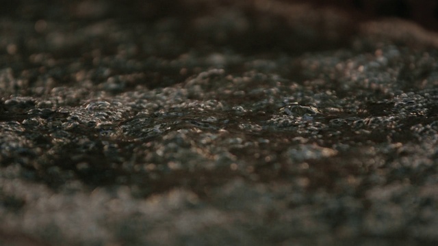 Video Reference: Brown, Grey, Wood, Asphalt, Grass, Natural landscape, Darkness, Pattern, Metal, Twig