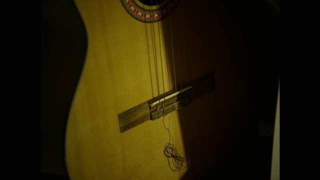 Video Reference: Musical instrument, Guitar accessory, Wood, String instrument, String instrument accessory, Guitar, Plucked string instruments, Tints and shades, Font, Circle