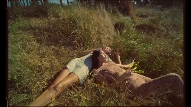 Video Reference: Plant, Leg, Flash photography, Dress, Hat, Happy, Grass, Fawn, People in nature, Thigh