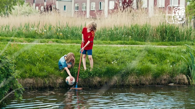 Video Reference: Water, Plant, Water resources, People in nature, Window, Nature, Shorts, Watercourse, Grass, Leisure