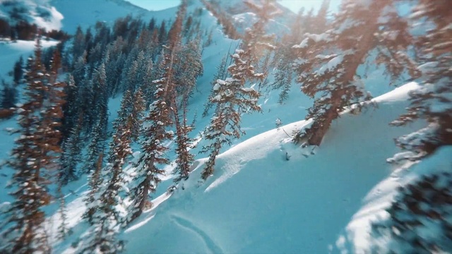 Video Reference: Snow, Plant, Branch, Slope, World, Freezing, Mountain, Twig, Atmospheric phenomenon, Ice cap