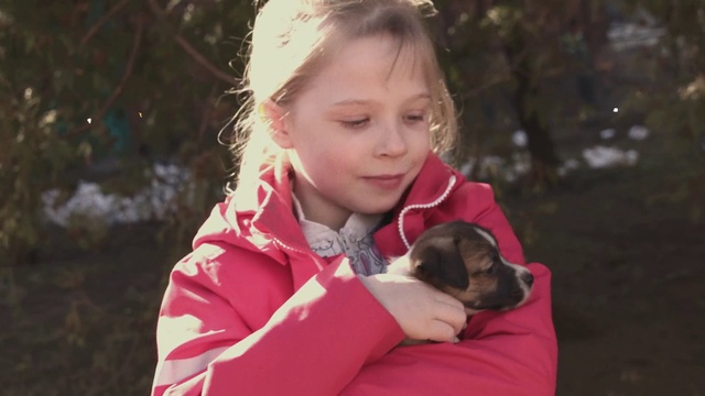 Video Reference: Dog, Carnivore, Happy, People in nature, Dog breed, Fawn, Companion dog, Grass, Toddler, Leisure