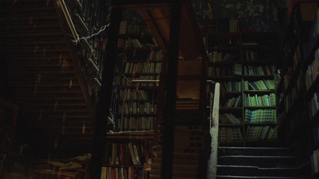 Video Reference: Bookcase, Shelf, Building, Wood, Publication, Book, Shelving, Tints and shades, Ladder, Metal