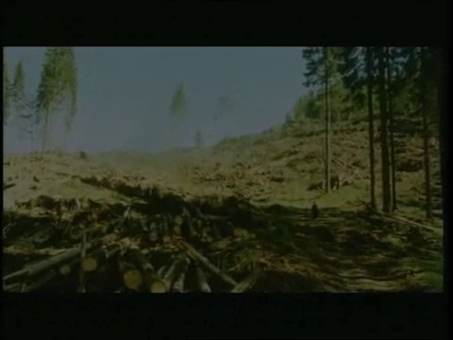 Video Reference: Plant community, Sky, Plant, Natural landscape, Tree, Font, Grass, Landscape, Terrestrial plant, Tints and shades