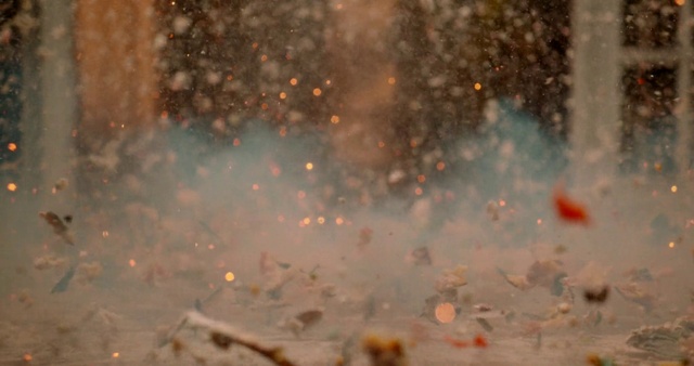 Video Reference: Atmosphere, Amber, Window, Atmospheric phenomenon, Tree, Heat, Plant, Event, Water, Freezing