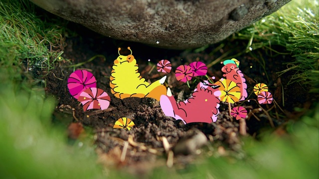 Video Reference: Plant, Insect, Pollinator, Flower, Petal, Branch, Natural landscape, Arthropod, Terrestrial plant, Organism