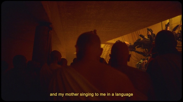 Video Reference: World, Tints and shades, Font, Event, Hat, Darkness, Fun, Plant, Crowd, Visual arts