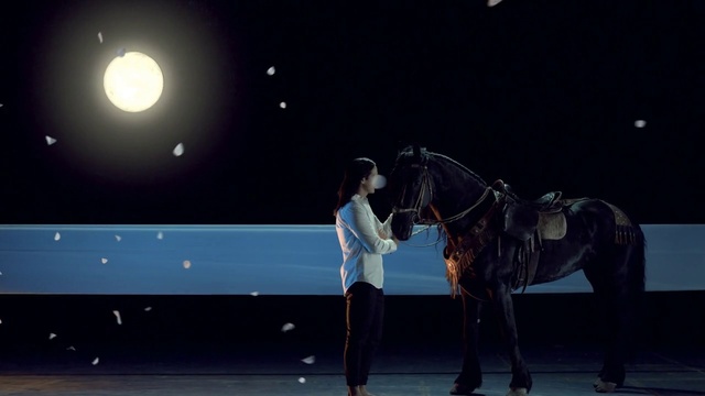 Video Reference: Horse, Sky, Working animal, Horse tack, Bridle, Horse supplies, Entertainment, Moon, Performing arts, Mane