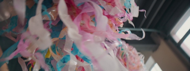 Video Reference: Petal, Pink, Plant, Magenta, Creative arts, Pattern, Cut flowers, Sweetness, Close-up, Plastic