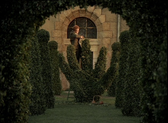 Video Reference: Plant, Leaf, Window, Grass, Sky, Building, Wall, Tints and shades, Art, Landscape