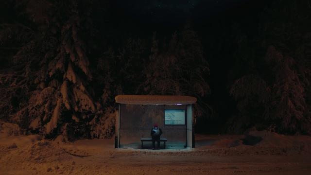 Video Reference: Natural environment, Plant, Wood, Tree, Landscape, Gas, Tints and shades, House, Midnight, Darkness