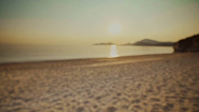 Video Reference: Water, Sky, Atmosphere, Afterglow, Cloud, Dusk, Beach, Coastal and oceanic landforms, Tree, Sunset