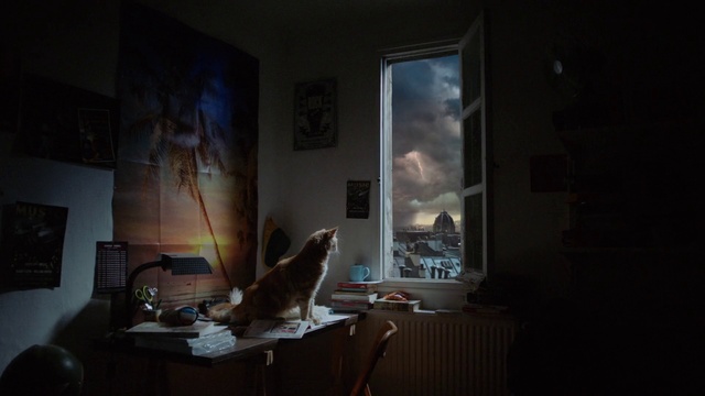 Video Reference: Building, Table, Wood, Window, Floor, Art, Flooring, Tree, Tints and shades, Felidae