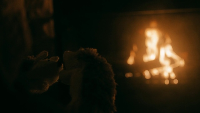 Video Reference: Atmosphere, Fire, Gas, Sky, Bonfire, Gesture, Midnight, Event, Flame, Darkness