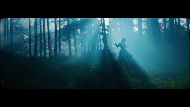 Video Reference: Plant, Atmosphere, Sky, People in nature, Azure, Natural landscape, Tree, Branch, Wood, Vegetation