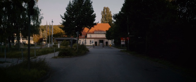 Video Reference: Plant, Sky, Building, Tree, House, Window, Road surface, Asphalt, Dusk, Residential area