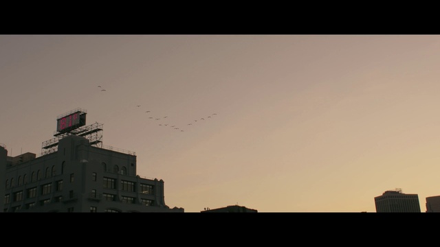 Video Reference: Sky, Building, Atmosphere, Afterglow, Dusk, Sunset, Horizon, Tints and shades, Cloud, Bird