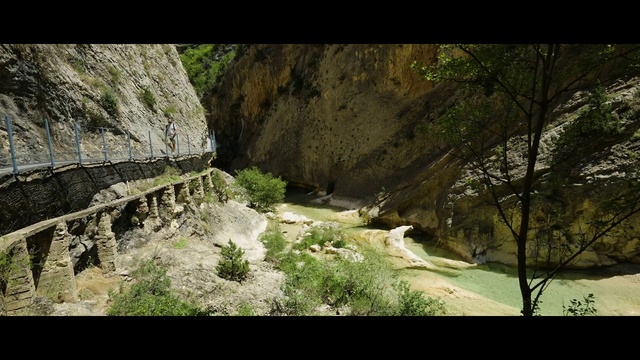 Video Reference: Plant, Natural landscape, Vegetation, Bedrock, Tree, Watercourse, Terrestrial plant, Grass, Landscape, Formation